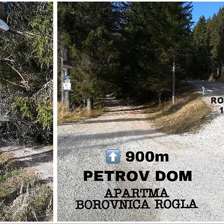 Apartma Borovnica Rogla Vitanje Exteriér fotografie