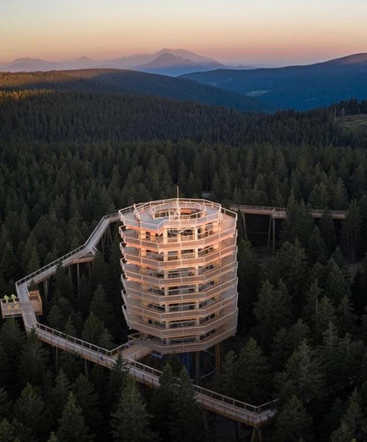 Apartma Borovnica Rogla Vitanje Exteriér fotografie