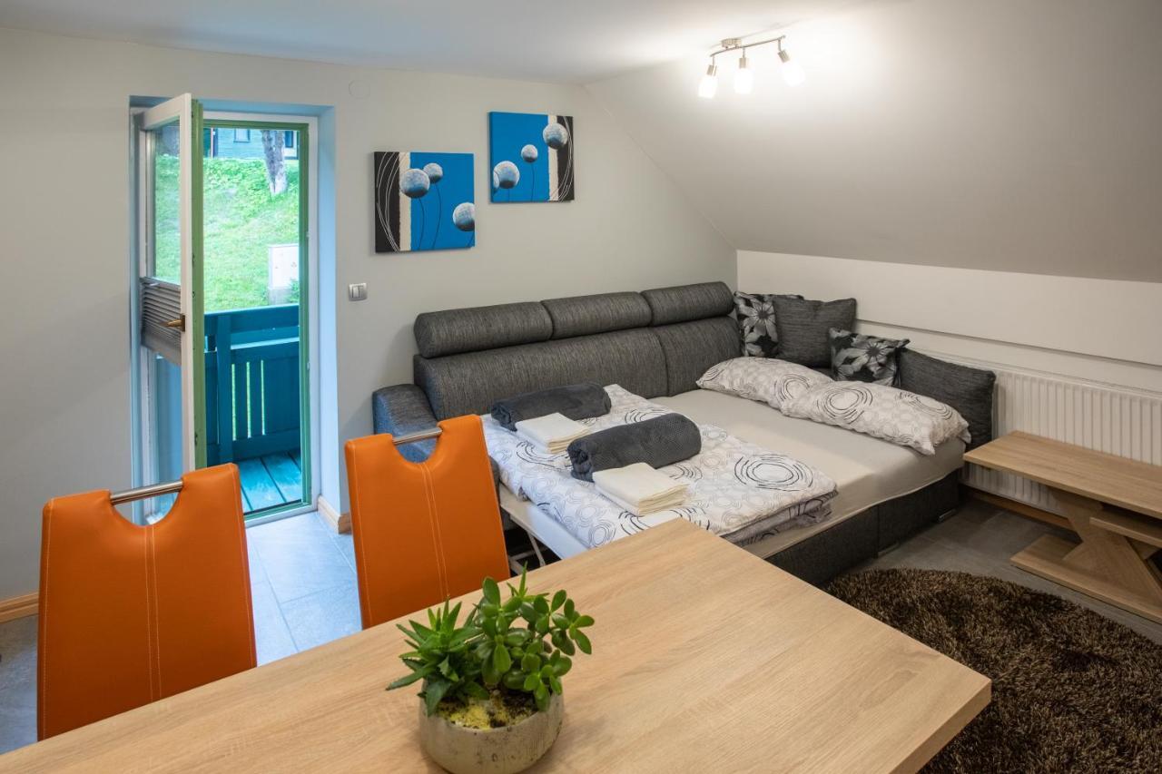 Apartma Borovnica Rogla Vitanje Exteriér fotografie
