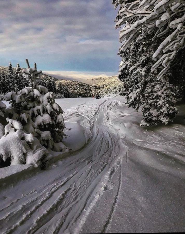 Apartma Borovnica Rogla Vitanje Exteriér fotografie