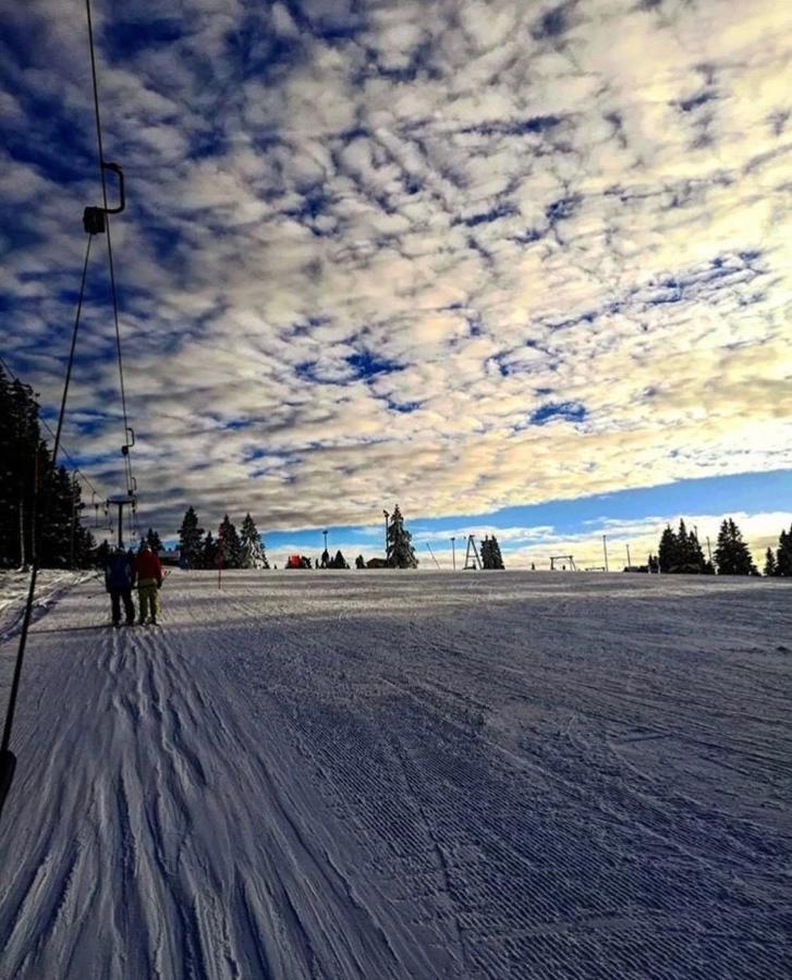 Apartma Borovnica Rogla Vitanje Exteriér fotografie