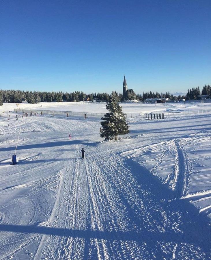 Apartma Borovnica Rogla Vitanje Exteriér fotografie