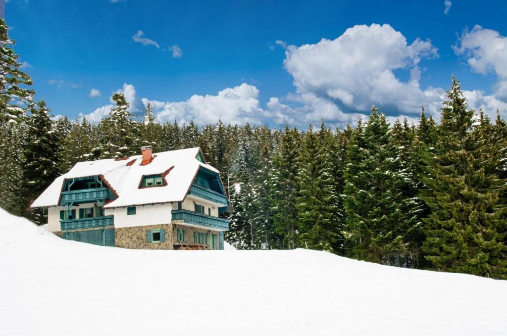 Apartma Borovnica Rogla Vitanje Exteriér fotografie