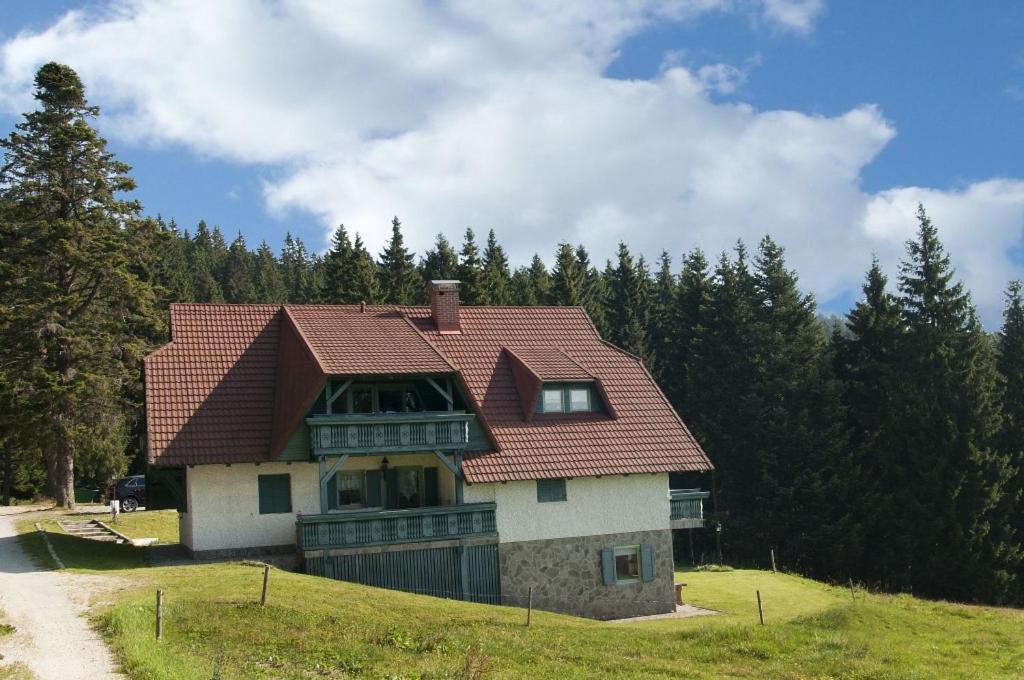Apartma Borovnica Rogla Vitanje Exteriér fotografie