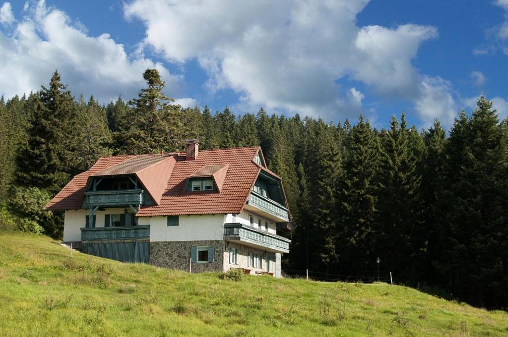 Apartma Borovnica Rogla Vitanje Exteriér fotografie