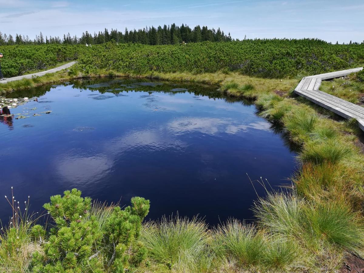Apartma Borovnica Rogla Vitanje Exteriér fotografie