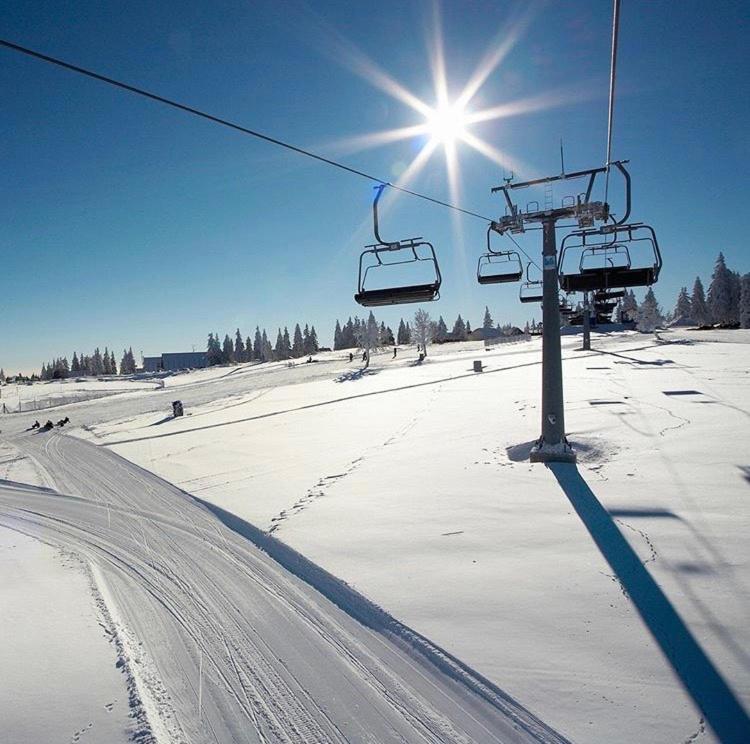 Apartma Borovnica Rogla Vitanje Exteriér fotografie