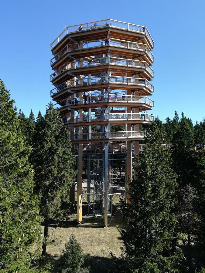 Apartma Borovnica Rogla Vitanje Exteriér fotografie