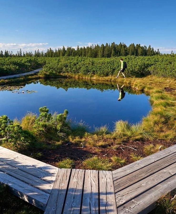 Apartma Borovnica Rogla Vitanje Exteriér fotografie