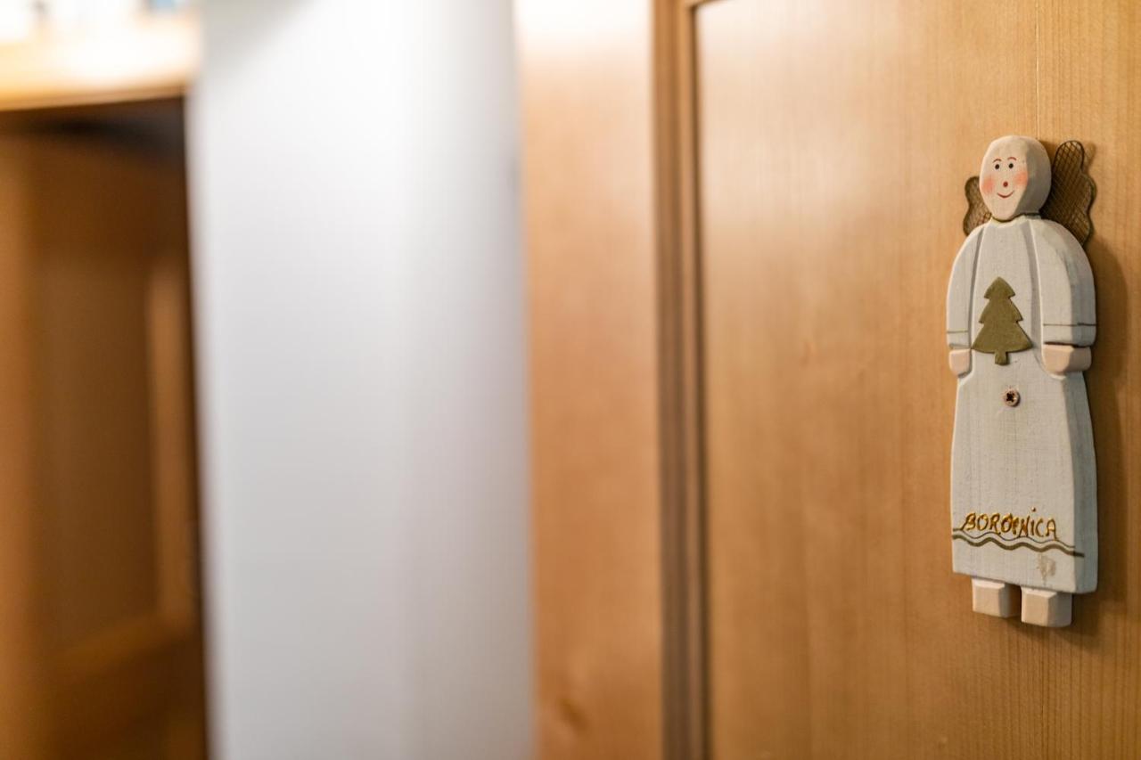 Apartma Borovnica Rogla Vitanje Exteriér fotografie