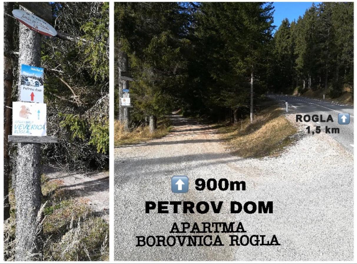 Apartma Borovnica Rogla Vitanje Exteriér fotografie